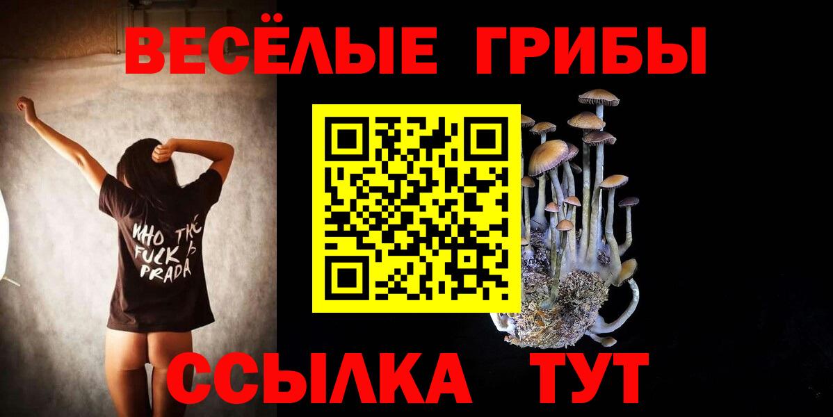 Псилоцибиновые грибы MAGIC MUSHROOMS Тихорецк